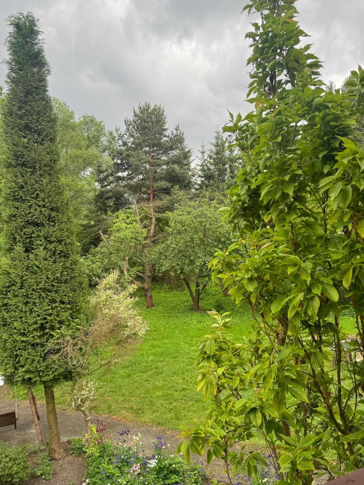 Zielony Zakatek Piechowice  Rom bilde